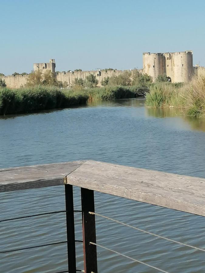 Marina A Aigues Mortes - Gard Kültér fotó